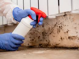 Why You Should Choose Our Mold Remediation Services in Harrisville, WV